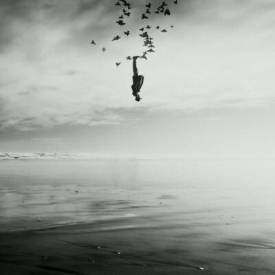 芒果体育app下载