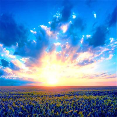 可下分电玩下载手机版