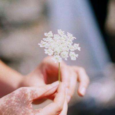 BO半岛综合app安全下载手机app下载